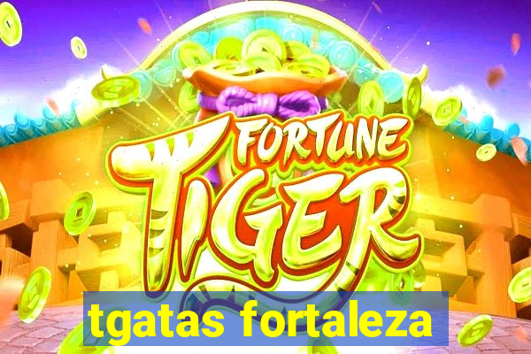 tgatas fortaleza